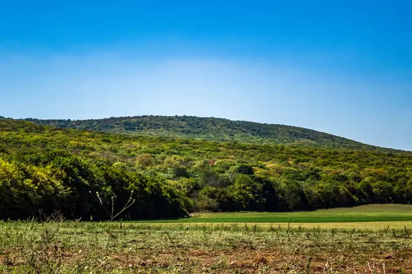 Kırsal kesimdeki sıradağların manzarası