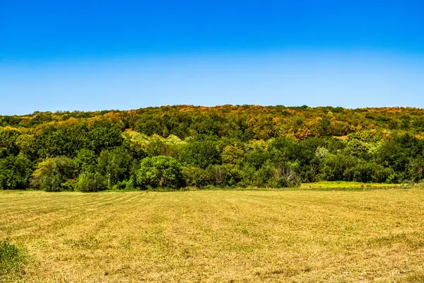 Arkasında büyük yeşil çimenler ve mavi bir gökyüzü olan bir arazinin manzarası. Güneşli bir gün.