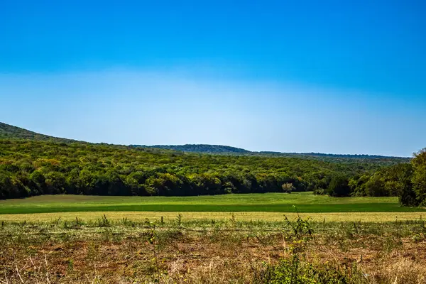 Kırsalda yeşil tarlalar ve ağaçlar