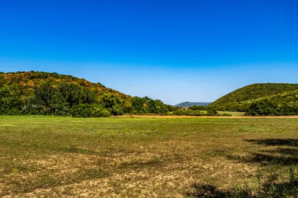 Dağlarda güzel yeşil çayırları olan bir manzara. yüksek kaliteli fotoğraf