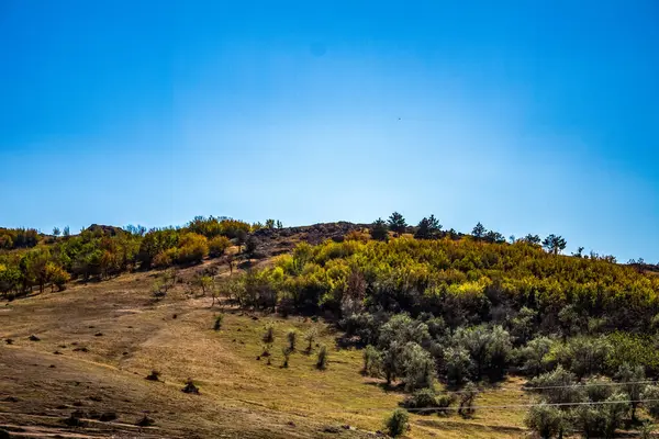 Dağlarda bir ağaçla sonbahar manzarası