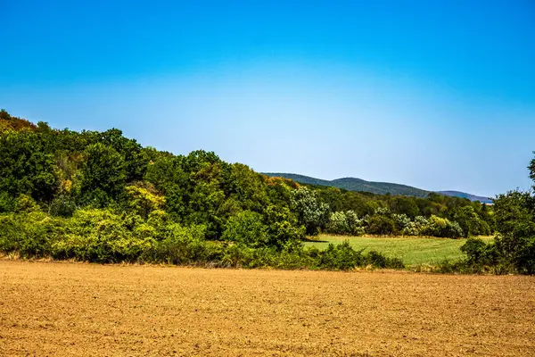 Yazın Fransa 'daki tarlaların manzarası