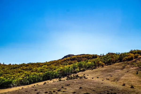 Dağlarda dağları olan güzel bir manzara.