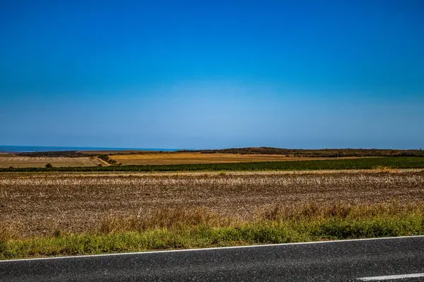 Buğday tarlasında yol