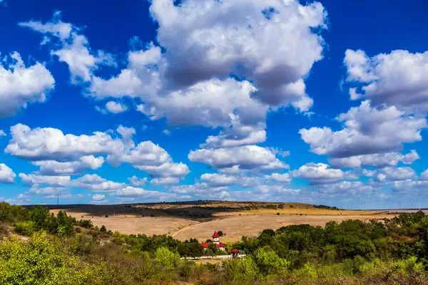 Güzel gökyüzü olan bir buğday tarlası.