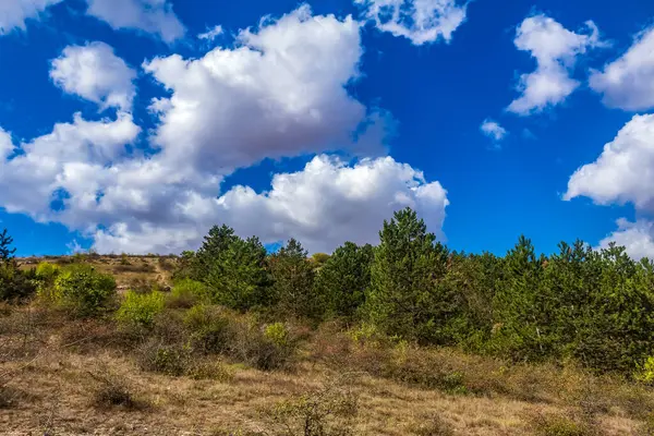 Dağlardaki ormanla güzel bir manzara.