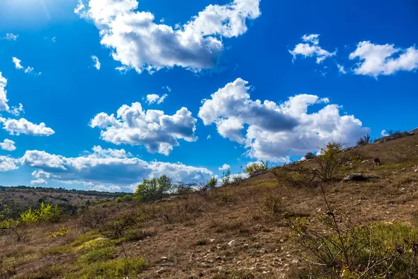 Mavi gökyüzü ile güzel dağ manzarası