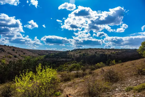 Dağların güzel manzarası