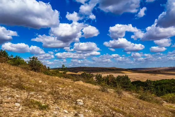 Güzel bir yaz manzarası bulutlu bir gökyüzü, ufka giden yol.