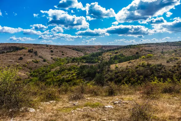 Kırım dağlarında güneşli bir günde ormanın olduğu güzel bir dağ sırasının manzarası..