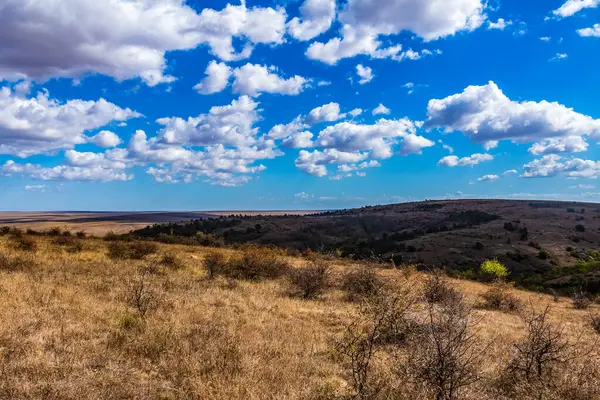 Kırsal kesimde güzel bir manzara.