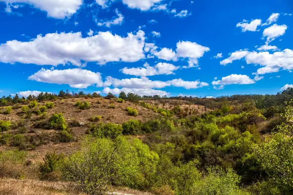 Ağaçlar ve çalılarla kaplı dağ manzarası