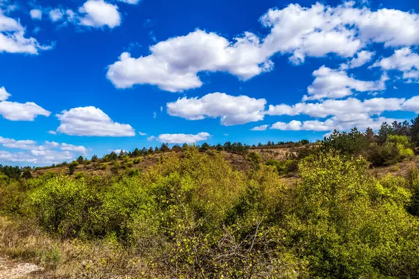 Ağaçları ve mavi gökyüzü olan güzel bir manzara.