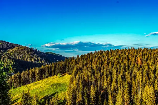 Yeşil çimenler ve ağaçlarla kaplı güzel bir dağ manzarası