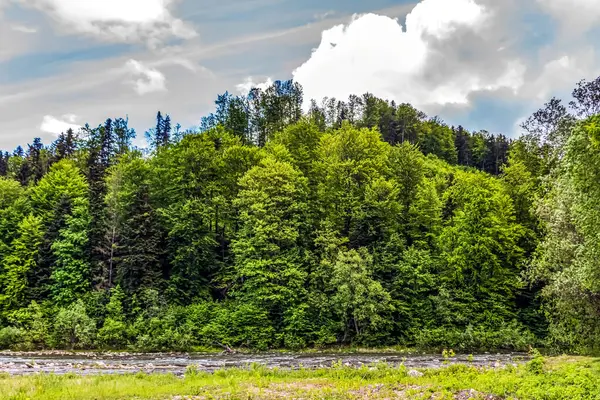 Nehir ve ağaçlarla dolu güzel bir manzara