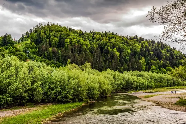 Yaz ormanındaki güzel dağ nehri. Karpatlar.