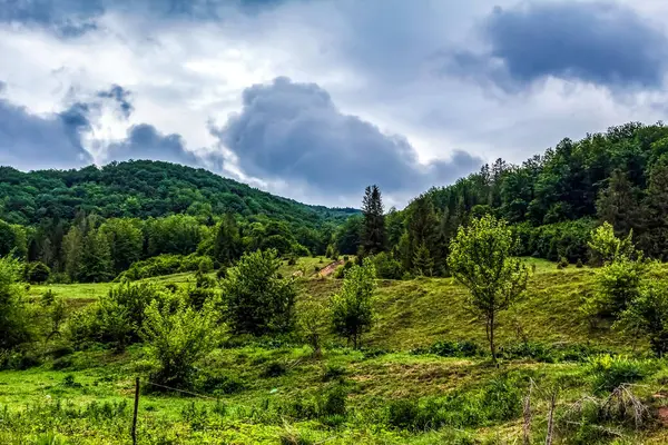 Dağlarda dağları olan güzel bir manzara.