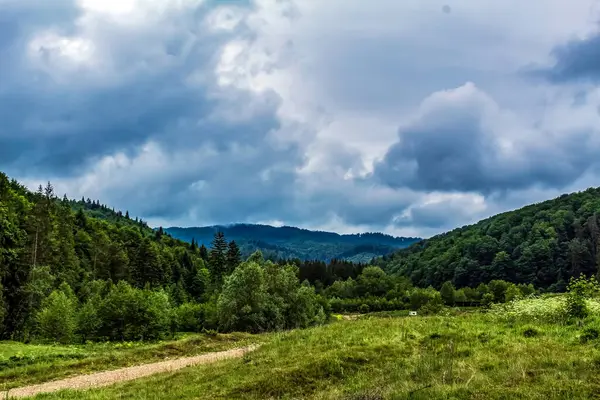 Bir dağ ve ormanı olan güzel bir manzara.