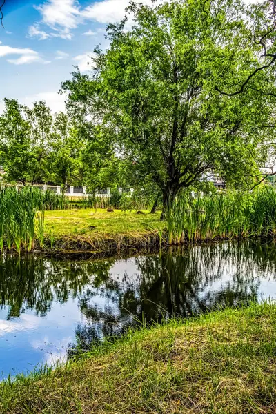 Arkasında bir göl olan güzel bir manzara.