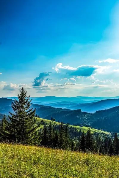 güzel yaz peyzaj Karpat Dağları