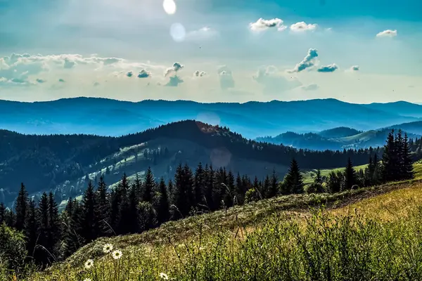 Karpat Dağları. Yaz dağı manzarası