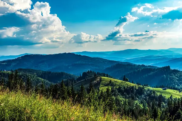 Yaz Karpatlar 'da, Ukrayna' da