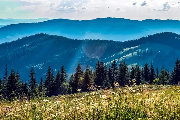 Karpat dağlarındaki dağ manzarası