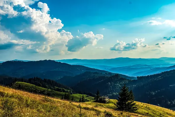 Karpat dağlarında güzel bir yaz manzarası