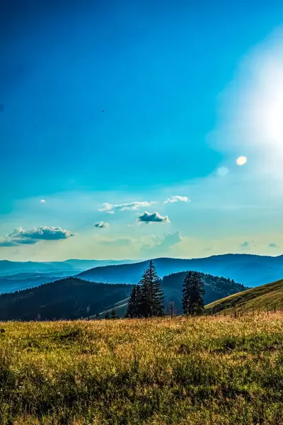Karpatlar 'daki güzel dağ manzarası. ukraine.
