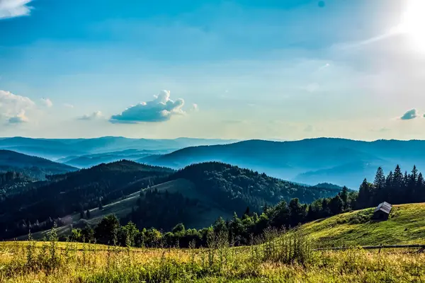 Yeşil çayırlı güzel dağ manzarası