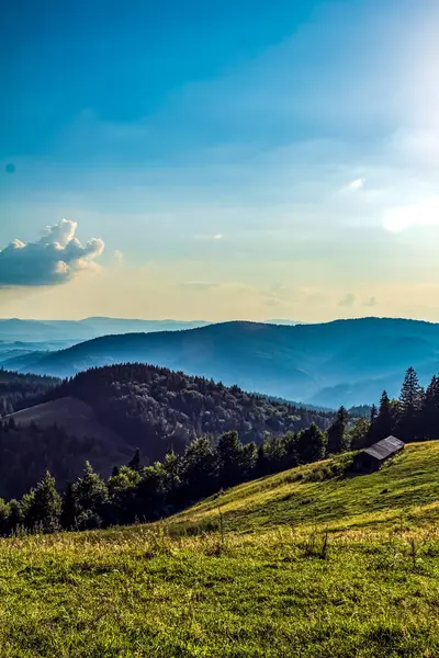 Yaz aylarında Karpat Dağları'nın güzel manzara.