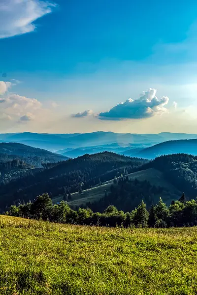 Yeşil tepelerin güzel manzarası ve arkadaki mavi gökyüzü.