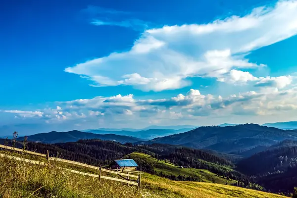 Karpatlar 'daki güzel dağ manzarası, yaz mevsimi