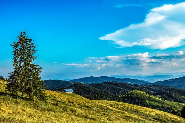 Dağ ve mavi gökyüzü olan güzel bir manzara.