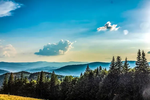 Dağları ve ağaçları olan güzel bir manzara.