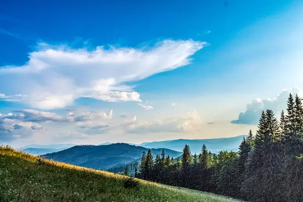 Dağlı güzel yaz manzarası