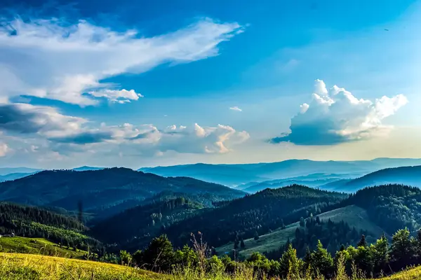 Karpatlar 'daki dağların güzel yaz manzarası