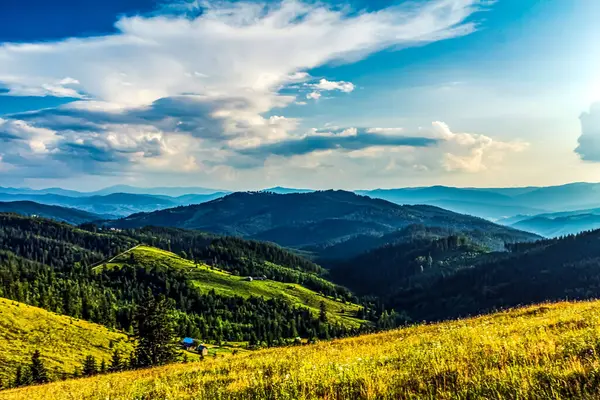 Karpatlar. Yaz dağı manzarası.