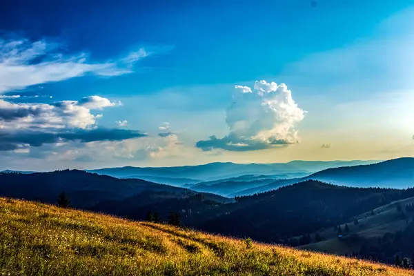 Karpat Dağları 'nın güzel manzarası. yaz günü.