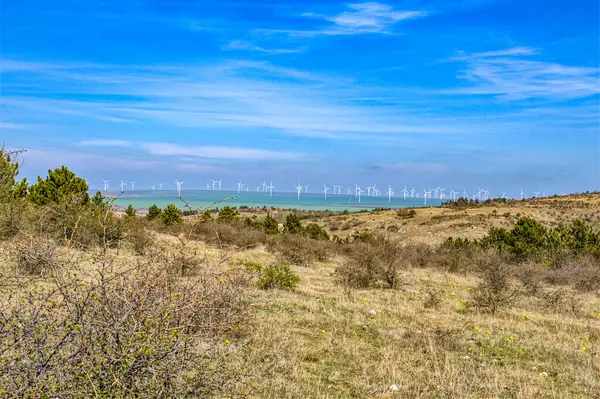 Doğanın güzel manzarası