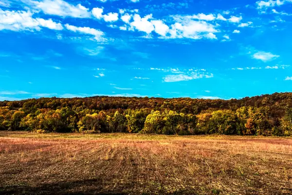 Renkli sonbahar tarlası ve ormanı.