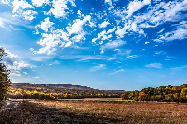 Ağaçlar ve yapraklarla dolu sonbahar ormanı