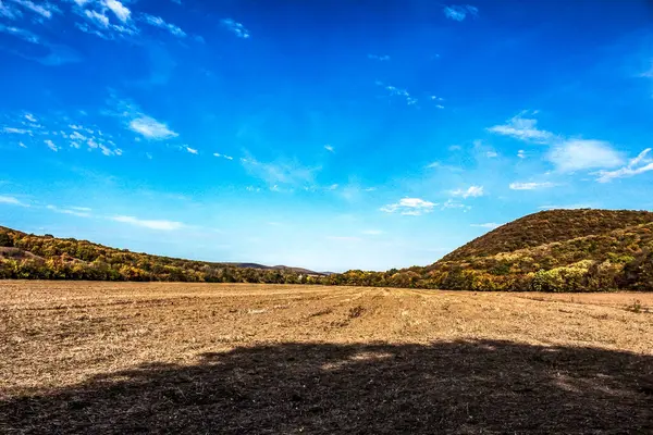 Ağaçlarla kaplı güzel bir manzara.