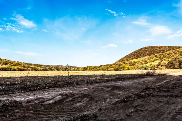 Ağaçlar ve ormanlarla dolu sonbahar manzarası