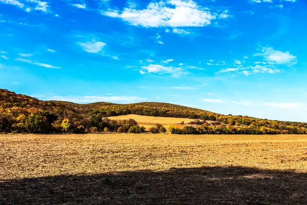Mavi bulutlu gökyüzünün altında bir dağ yolunun güzel manzarası.