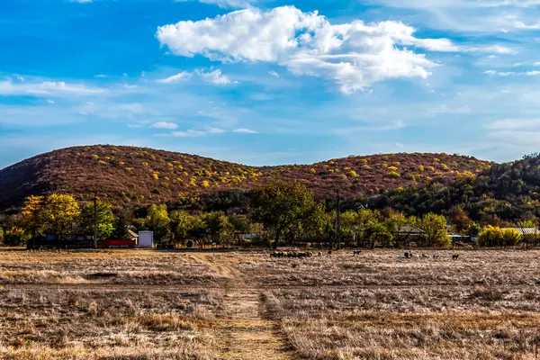 açık hava manzarasının resimsel görüntüsü