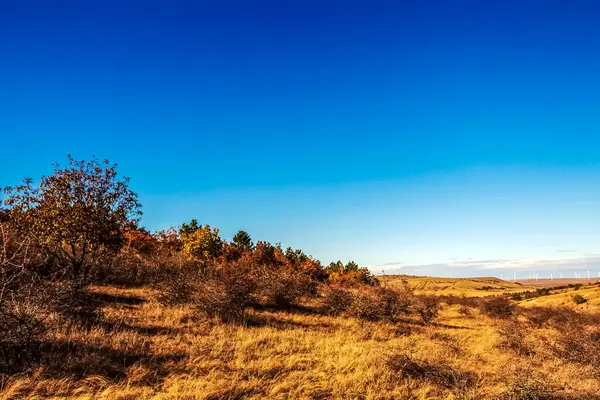 Dağlarda sonbahar manzarası.