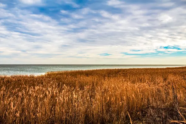 Baltık Deniz Kıyısı. Güzel bir deniz manzarası. Akşamları Baltık Denizi adası. Letonya.
