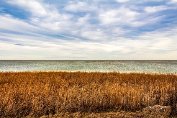 Arka planda bir göl olan güzel bir sonbahar gölü manzarası