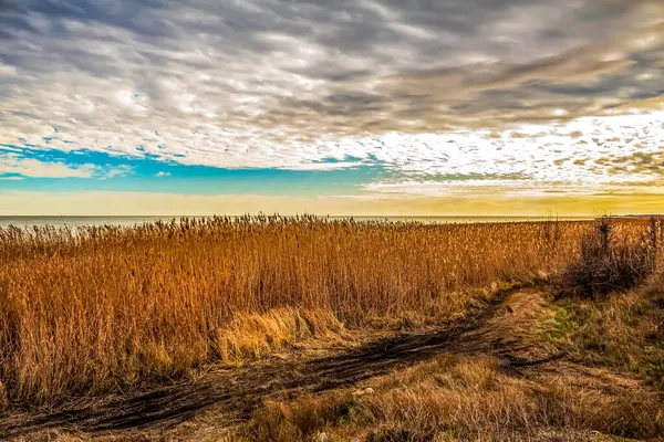 Arkasında bir göl olan güzel bir manzara.